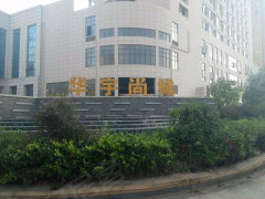 财税培训 第1856页