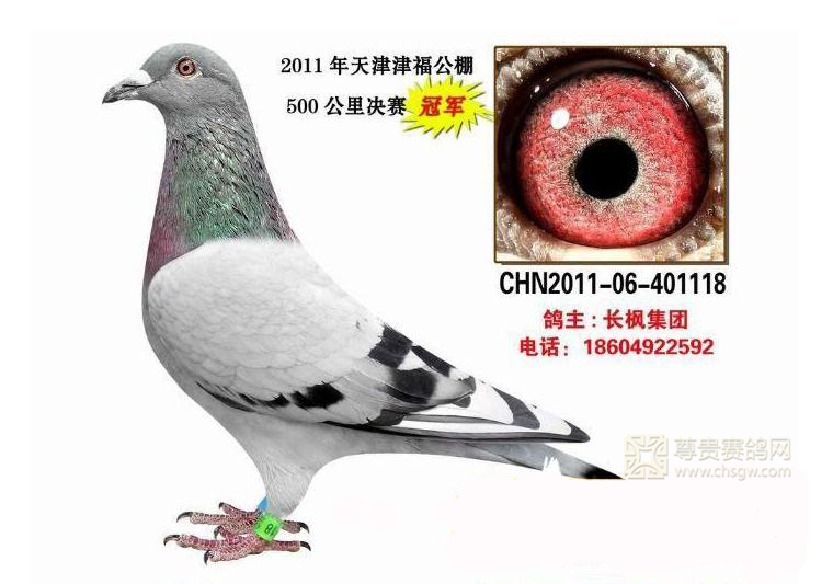 天津津福公棚2016年最新公告详解及解析