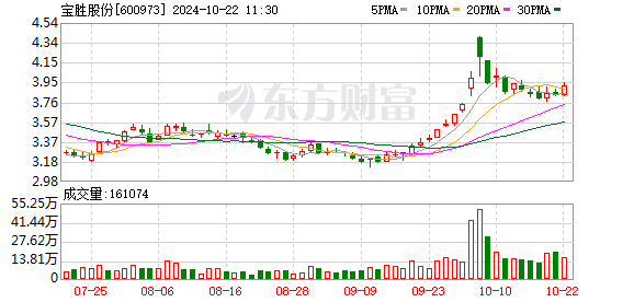 宝胜股份最新消息综述，动态更新与深度解析