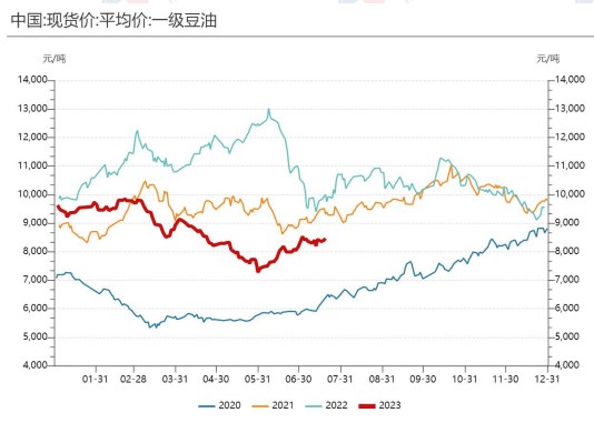 黄豆价格最新行情及分析概览
