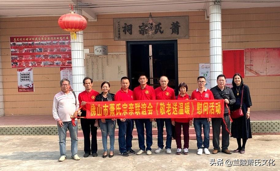 佛山楼市最新动态，家的温暖故事揭秘