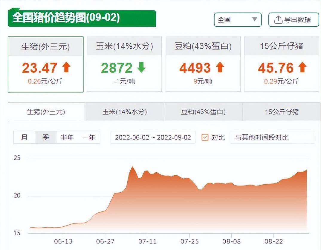 全国最新生猪价格揭秘，巷中小店背后的故事与猪价今日行情分析