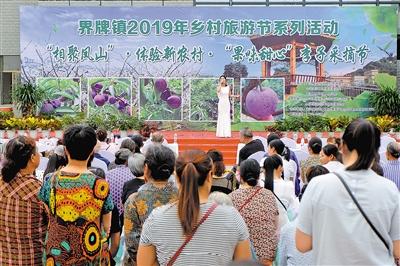 自然美景探索之旅 第13页