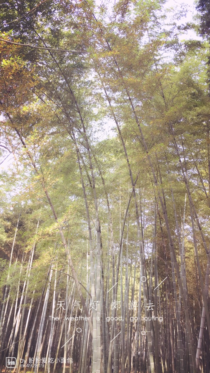江西吉安最新动态，小巷深处的独特风情