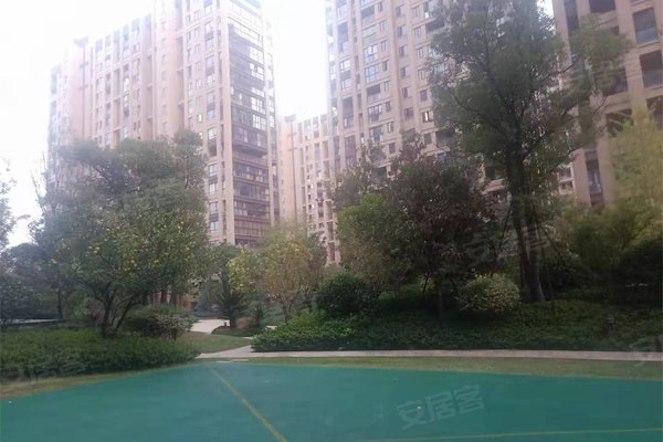金报步阳华府最新房价及市场走势多元观点分析