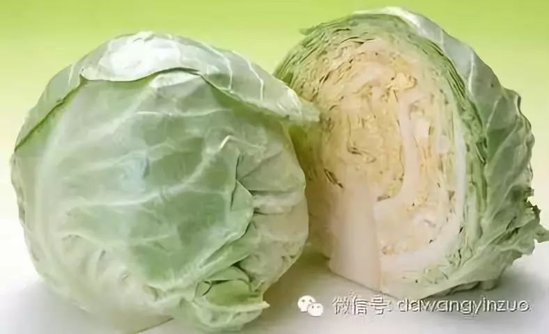 科技赋能下的甘蓝行情，洞悉蔬菜市场最新动态