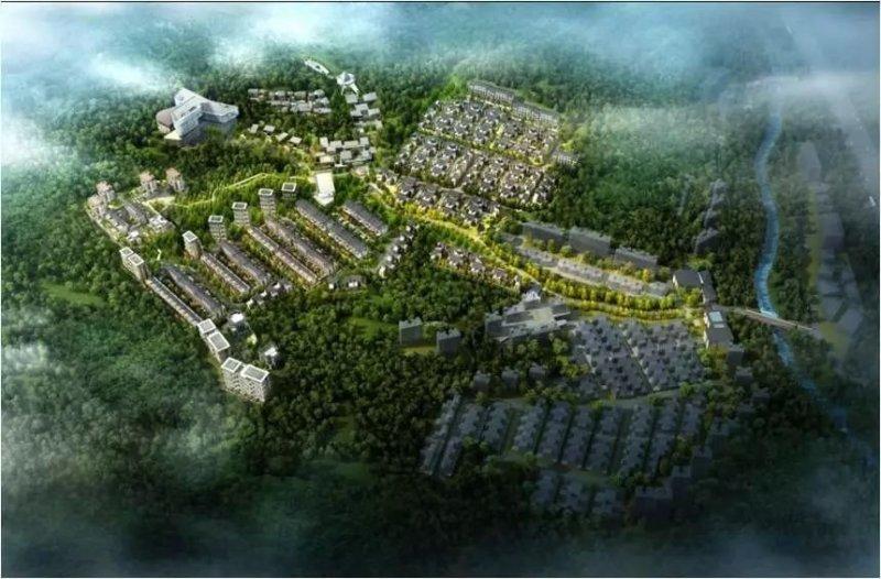 杨丽萍最新科技产品，智能生活新里程碑