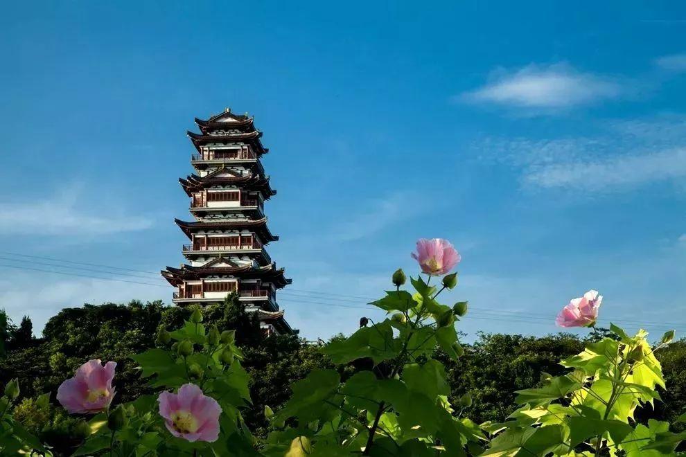 财税培训 第59页