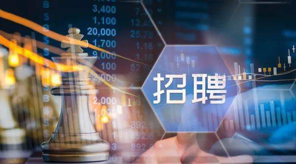 探寻金融行业人才的新起点，证券招聘网最新招聘信息速递