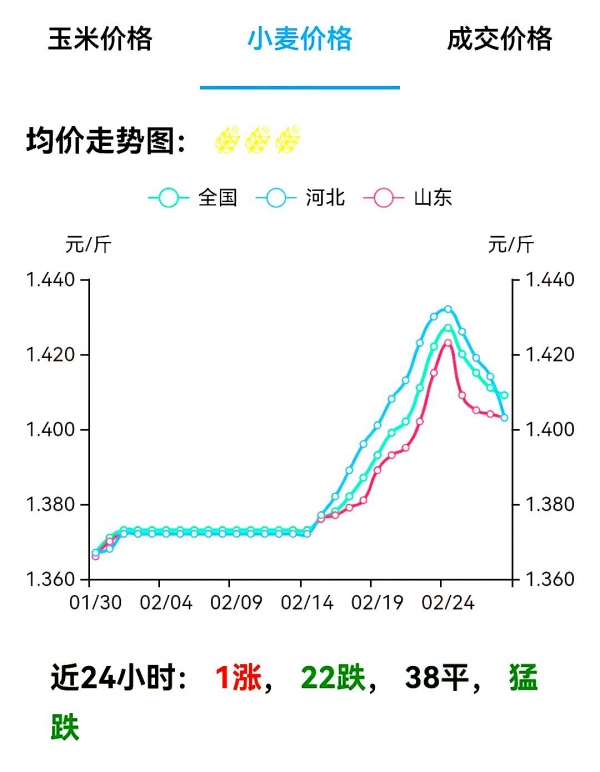 山东小麦最新价格探析，多方观点下的市场动态