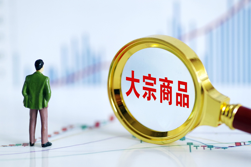 财税培训 第31页