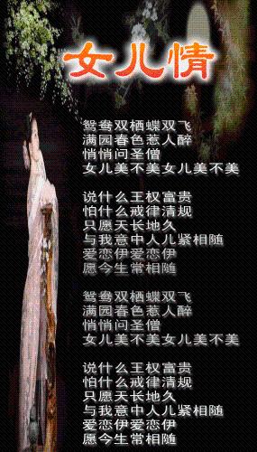 韩寒最新动态，心灵与自然的美妙之旅