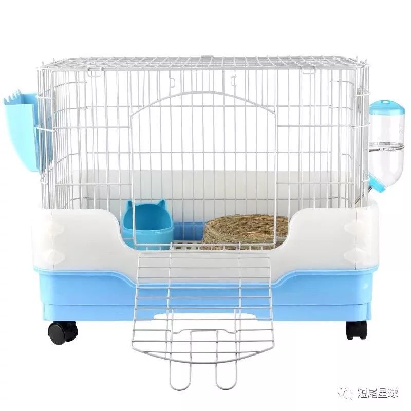 最新兔笼,最新兔笼大揭秘🐰时尚舒适的小天地！