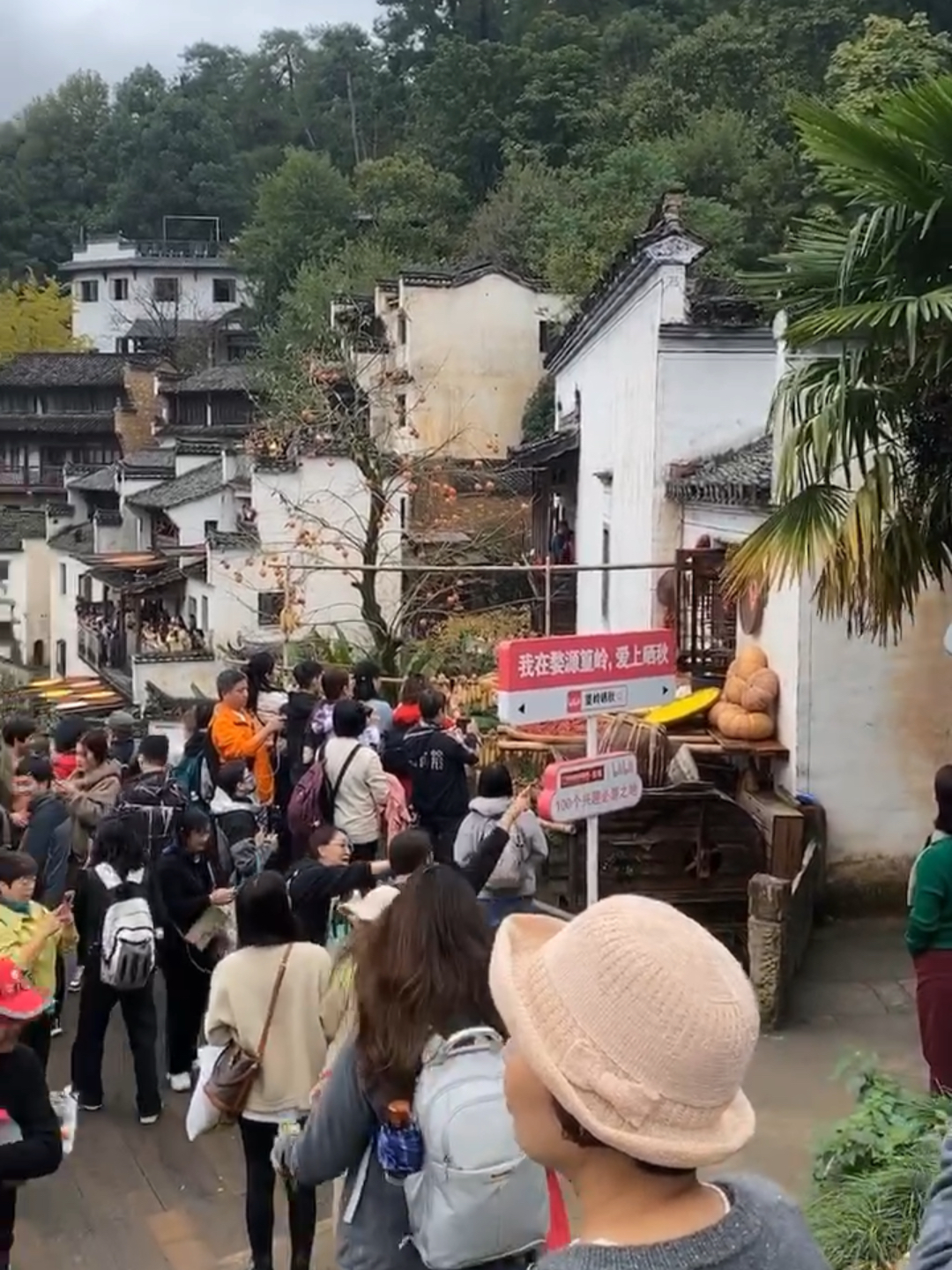 婺源最新发展动态，古与今的交融探索新篇章