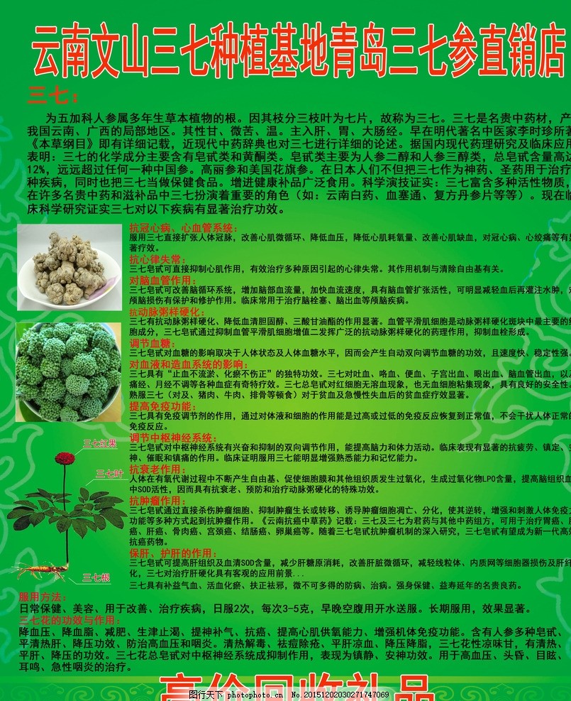 文山三七最新价格，绿色之旅寻找内心平静的旅程