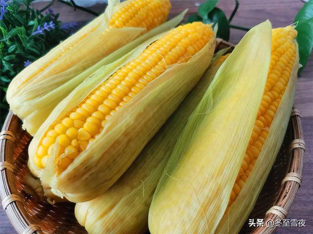 玉米粒的夏日保鲜秘诀，爱与陪伴的温馨故事中的新鲜守护之道