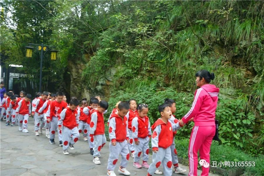 高州幼儿园最新招聘启事，梦幻自然探索之旅启程，诚邀幼教英才加盟！