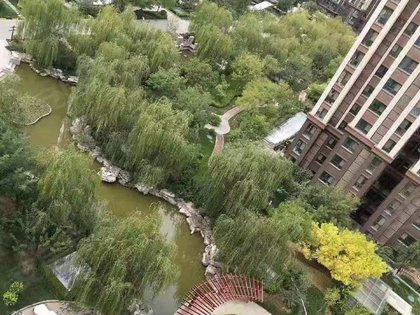 邢台锦绣鹏程最新动态，展翅高飞，启航梦想之旅