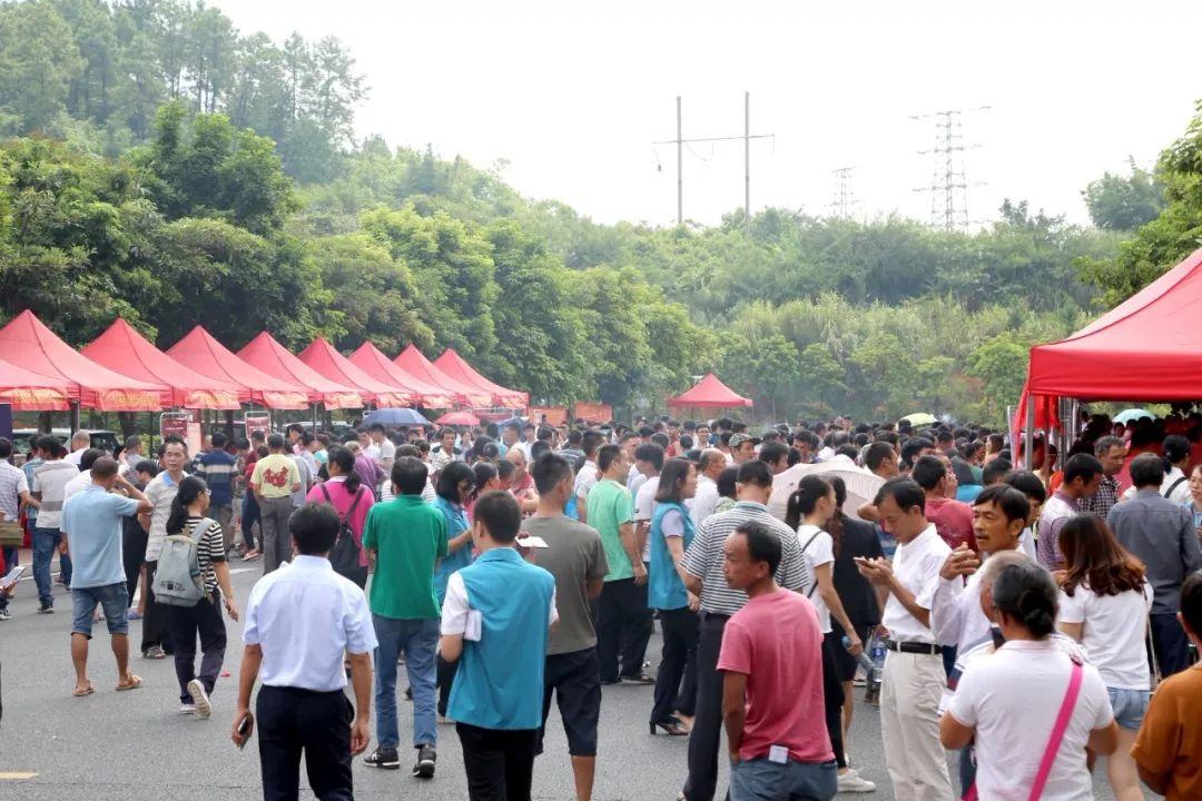 建筑铝模最新招聘信息汇总