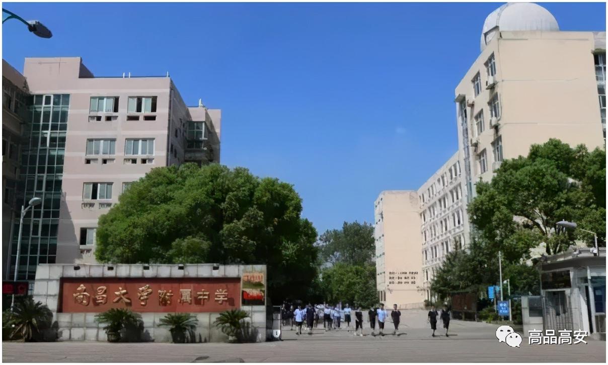 国家双一流最新动态下的温馨日常观察与解读