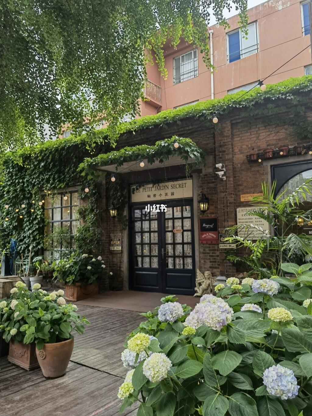 小巷深处的秘密花园，最新任务驱动作文素材与隐藏特色小店探秘