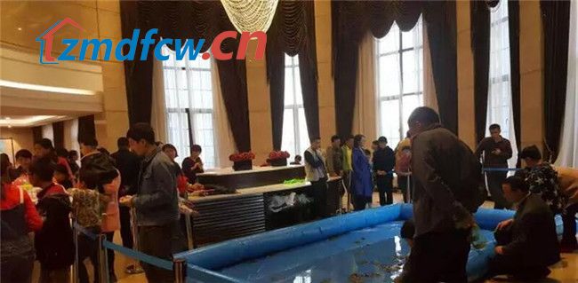 遂平水晶城最新新闻及获取解读新闻资讯的步骤指南