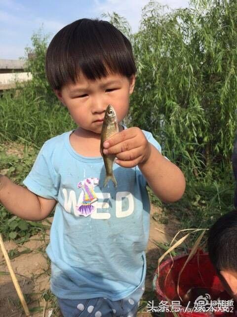 郑州翻版小岳岳找到了，文化现象的深度解读