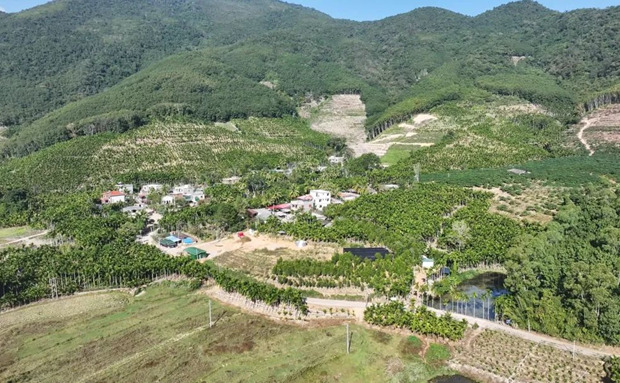 海南最新新闻，小巷深处的独特风味揭秘