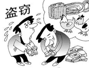 最新诈骗罪深度论述与解析