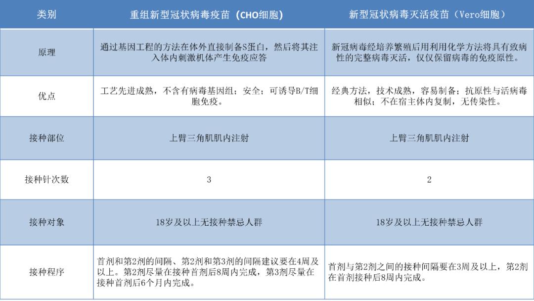 冠状病毒最新动态，背景、进展与影响全面解析
