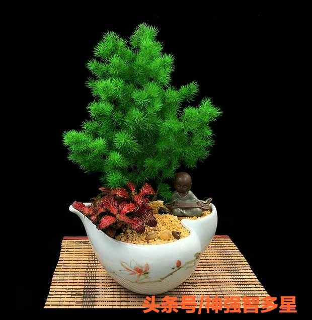 蓬莱最新招聘信息网，变化中的自信与学习铸就未来之路