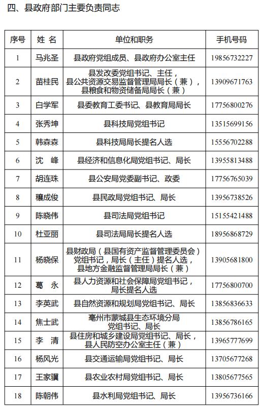 最新新泰领导干部公示详解，步骤指南与初学者进阶指南